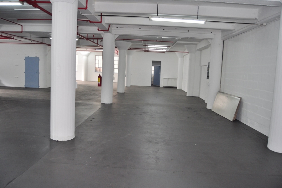 To Let commercial Property for Rent in Paarden Eiland Western Cape